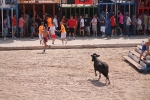 Los aficionados taurinos disfrutan con el encierro de Dani Machancoses