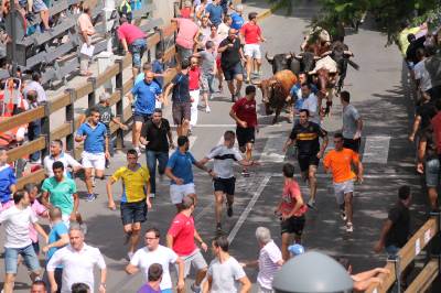 Fotografia /Galeria/2013/8/90415_48090/5_M1.jpg