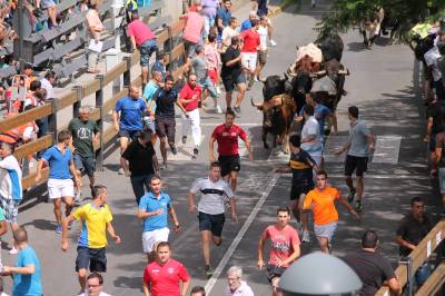 Fotografia /Galeria/2013/8/90415_48090/6_M1.jpg