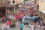 Multitudinario encierro infantil en la Vall d'Uixó