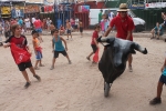 Multitudinario encierro infantil en la Vall d'Uixó