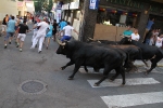 Dos heridos en las vaquillas enfundadas de la madrugada de este jueves