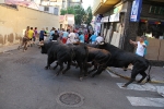 Dos heridos en las vaquillas enfundadas de la madrugada de este jueves
