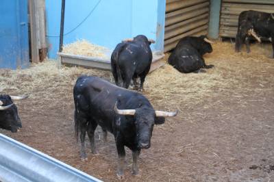 Fotografia /Galeria/2013/8/90553_48115/2_M1.jpg