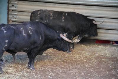 Fotografia /Galeria/2013/8/90553_48115/3_M1.jpg