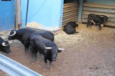 Fotografia /Galeria/2013/8/90553_48115/4_M1.jpg