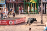 Encierro tarde 