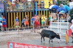 Hermanos Marcén gana el concurso de ganadería de les Penyes en Festes