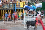 Hermanos Marcén gana el concurso de ganadería de les Penyes en Festes