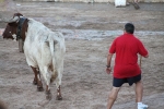 Hermanos Marcén gana el concurso de ganadería de les Penyes en Festes