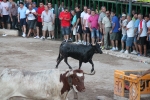 Hermanos Marcén gana el concurso de ganadería de les Penyes en Festes