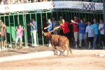 Hermanos Marcén gana el concurso de ganadería de les Penyes en Festes