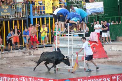 Hermanos Marcén gana el concurso de ganadería de les Penyes en Festes
