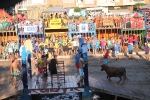 Hermanos Marcén gana el concurso de ganadería de les Penyes en Festes