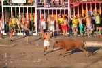 Hermanos Marcén gana el concurso de ganadería de les Penyes en Festes