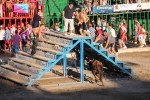 Hermanos Marcén gana el concurso de ganadería de les Penyes en Festes