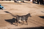 Fotografia /Galeria/2013/8/90694_48171/2_M1.jpg