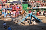 Hermanos Marcén gana el concurso de ganadería de les Penyes en Festes