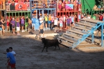 Hermanos Marcén gana el concurso de ganadería de les Penyes en Festes