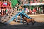 Hermanos Marcén gana el concurso de ganadería de les Penyes en Festes