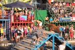 Hermanos Marcén gana el concurso de ganadería de les Penyes en Festes