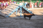 Hermanos Marcén gana el concurso de ganadería de les Penyes en Festes