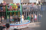 Hermanos Marcén gana el concurso de ganadería de les Penyes en Festes