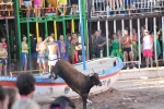 Hermanos Marcén gana el concurso de ganadería de les Penyes en Festes