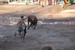 Hermanos Marcén gana el concurso de ganadería de les Penyes en Festes