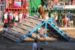 Hermanos Marcén gana el concurso de ganadería de les Penyes en Festes