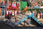 Hermanos Marcén gana el concurso de ganadería de les Penyes en Festes