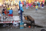 Hermanos Marcén gana el concurso de ganadería de les Penyes en Festes