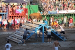 Hermanos Marcén gana el concurso de ganadería de les Penyes en Festes