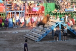 Hermanos Marcén gana el concurso de ganadería de les Penyes en Festes