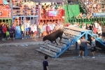 Hermanos Marcén gana el concurso de ganadería de les Penyes en Festes