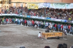 Hermanos Marcén gana el concurso de ganadería de les Penyes en Festes