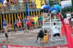 Hermanos Marcén gana el concurso de ganadería de les Penyes en Festes