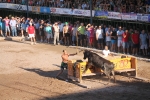 Fotografia /Galeria/2013/8/90694_48171/9_M1.jpg