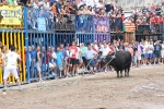 Las peñas Sant Joan y Amics del Bou disfrutan de la tarde taurina