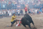 Las peñas Sant Joan y Amics del Bou disfrutan de la tarde taurina