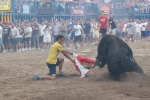 Las peñas Sant Joan y Amics del Bou disfrutan de la tarde taurina
