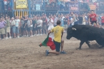 Las peñas Sant Joan y Amics del Bou disfrutan de la tarde taurina