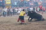 Las peñas Sant Joan y Amics del Bou disfrutan de la tarde taurina