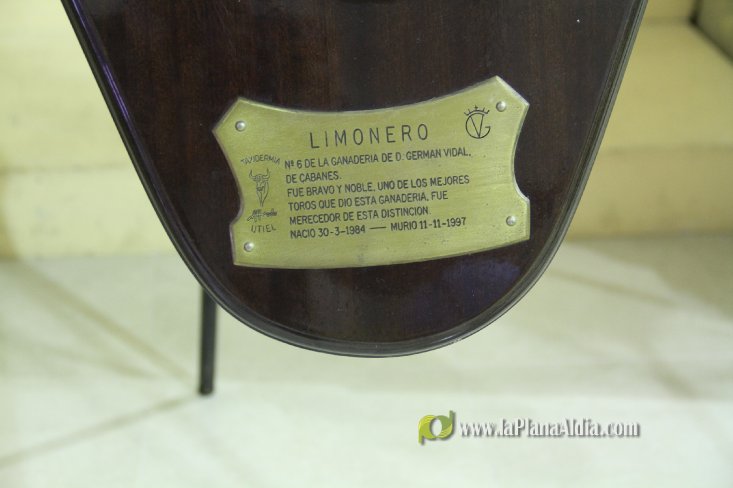 L'Alcora expone las cabezas de los toros Ratonero, Avión, Limonero y Naranjito