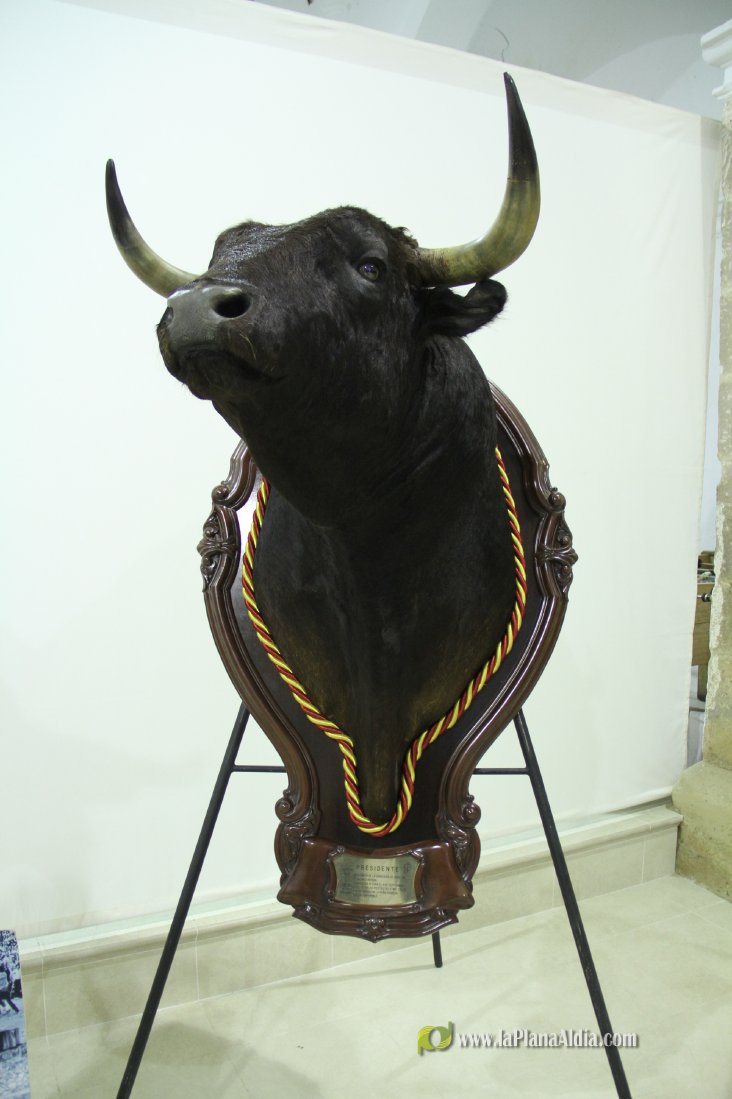 L'Alcora expone las cabezas de los toros Ratonero, Avión, Limonero y Naranjito