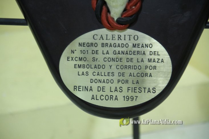 L'Alcora expone las cabezas de los toros Ratonero, Avión, Limonero y Naranjito