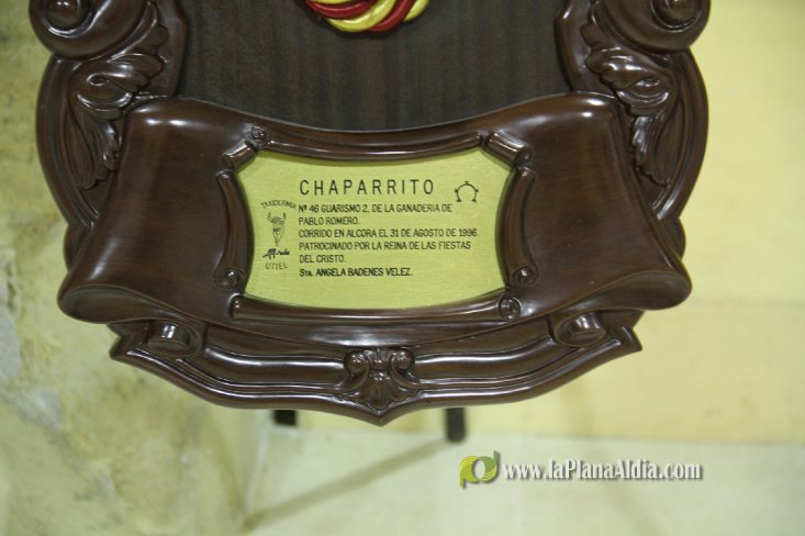 L'Alcora expone las cabezas de los toros Ratonero, Avión, Limonero y Naranjito