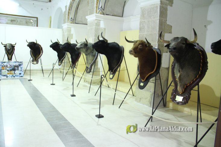 L'Alcora expone las cabezas de los toros Ratonero, Avión, Limonero y Naranjito