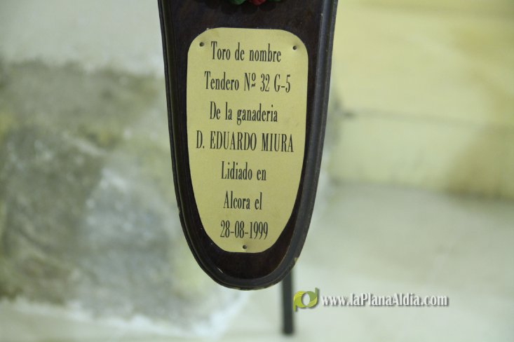 L'Alcora expone las cabezas de los toros Ratonero, Avión, Limonero y Naranjito