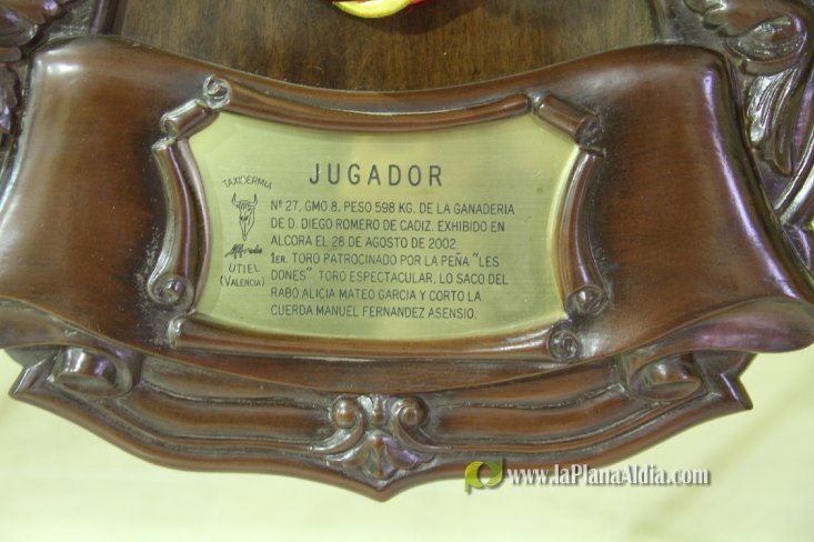 L'Alcora expone las cabezas de los toros Ratonero, Avión, Limonero y Naranjito